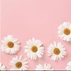 andrea_28b